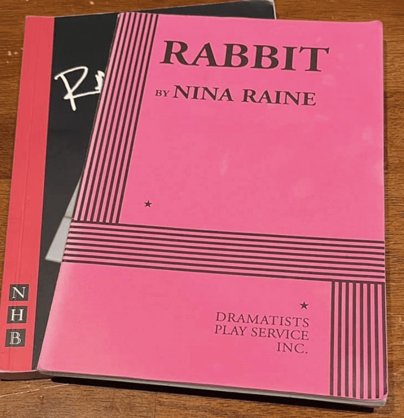 Rabbit by Nina Raine